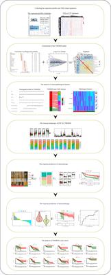 The clinical relevance and prediction efficacy from therapy of tumor microenvironment related signature score in colorectal cancer